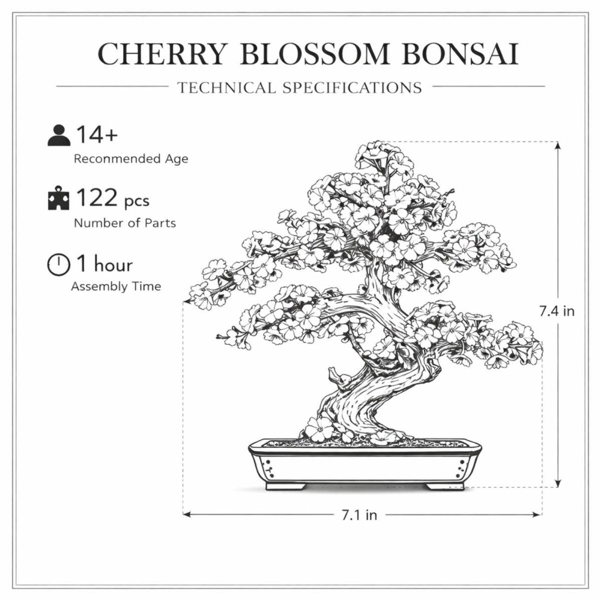DIY 3D Wooden Puzzle Evergreen Pine Bonsai Tree Kit for Adults & Teens | Desk Shelf Decor Hobby Model Building Craft Gift | Japanese Zen Garden by Kouvr
