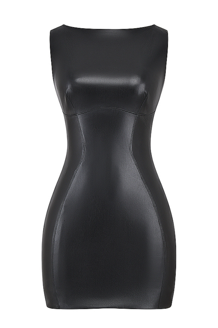 Amelia leather dress