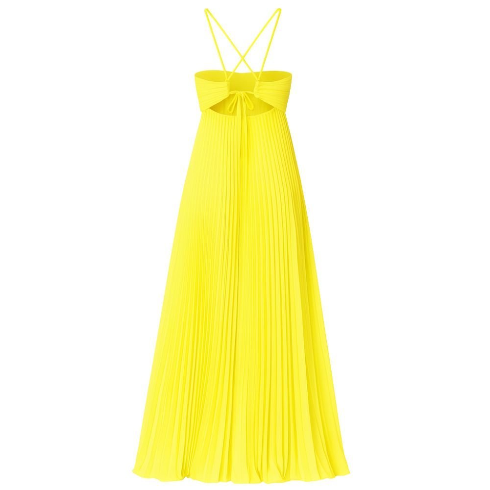 Kouvr Pleated Halter Maxi Dress Back View