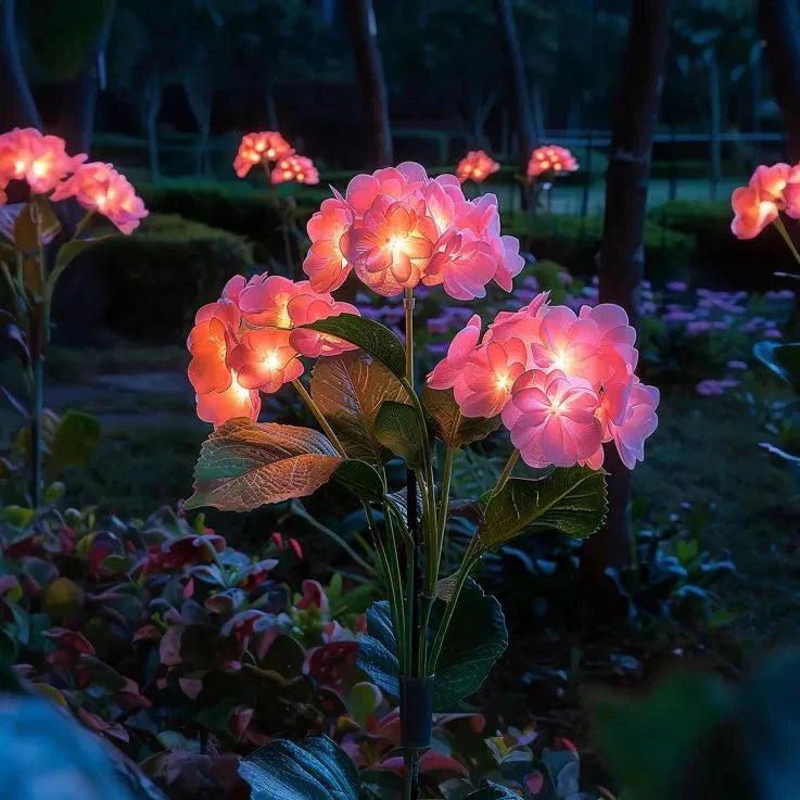 Ethere Hydrangea Glow