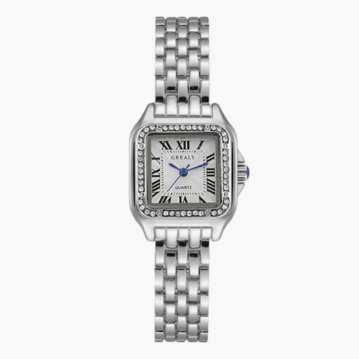 Monaco Watch
