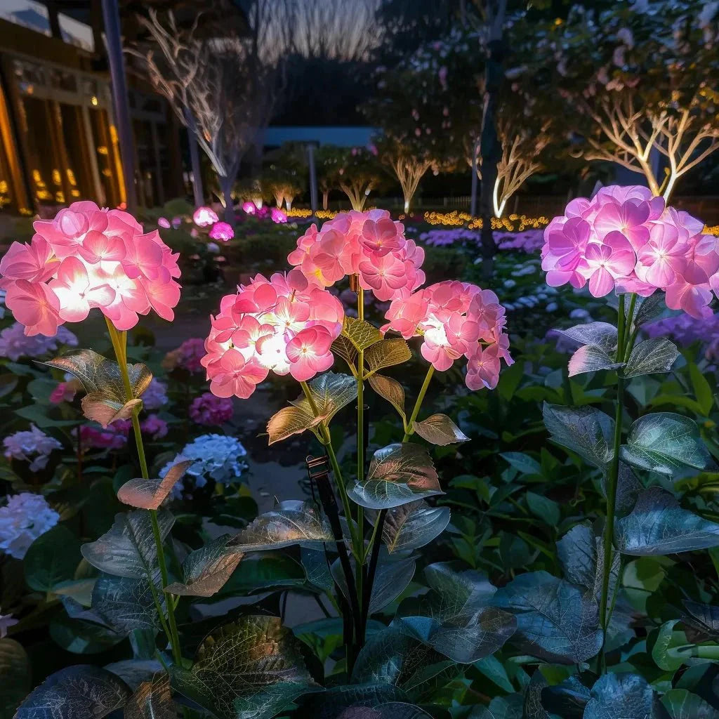 Ethere Hydrangea Glow